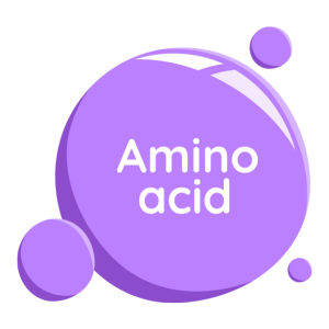 Complete Amino Acid Profile