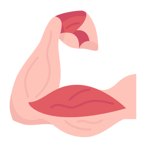 Muscle Repair and Recovery