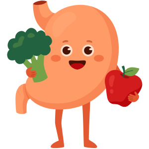 Improves Digestion