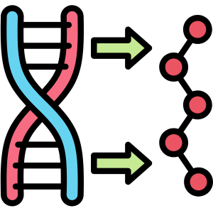 Protein Synthesis